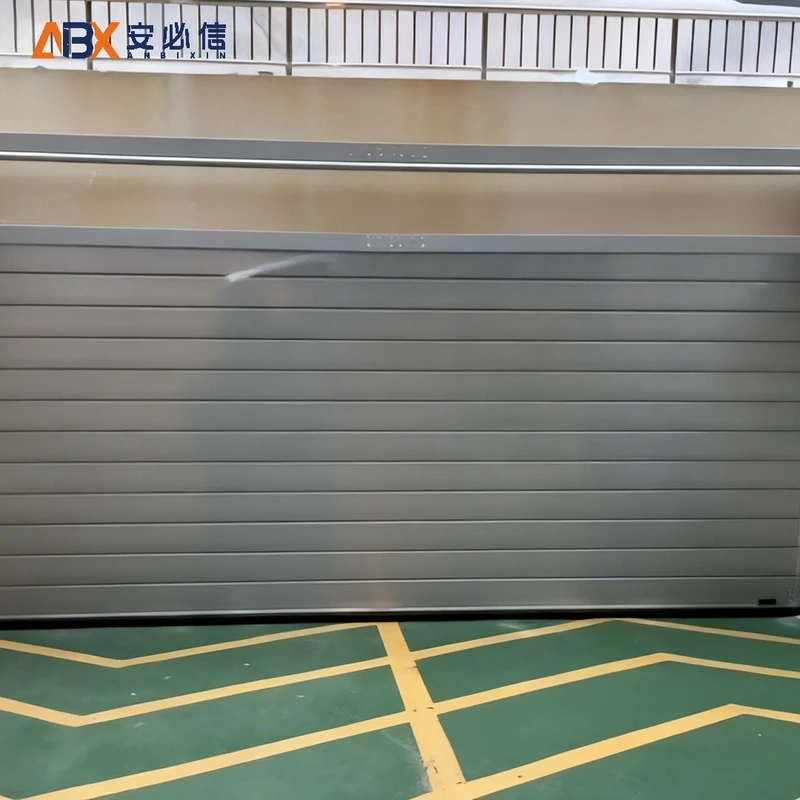 衡水市金属高速门